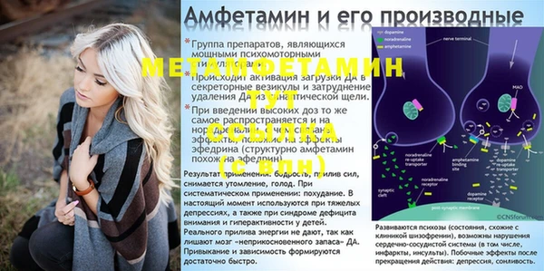 ПСИЛОЦИБИНОВЫЕ ГРИБЫ Алзамай